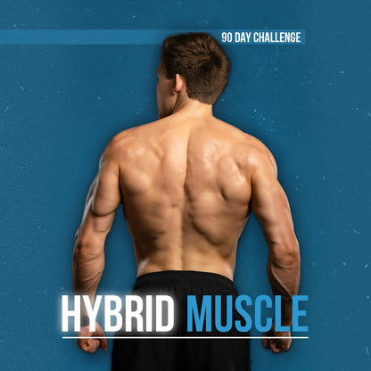Hybrid Muscle